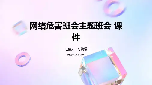网络危害班会主题班会 课件