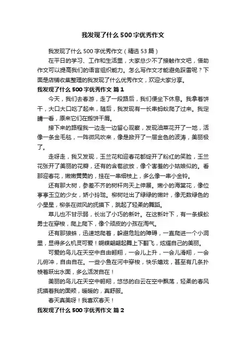 我发现了什么500字优秀作文