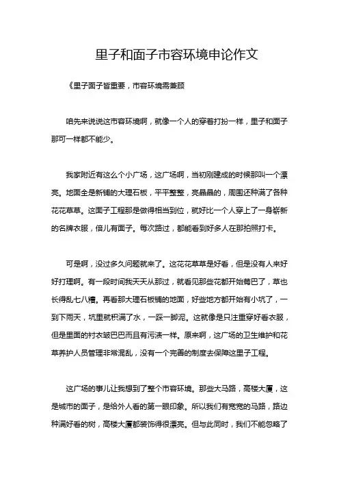 里子和面子市容环境申论作文