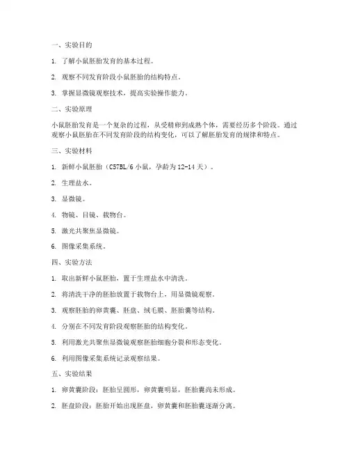 小鼠的发育实验报告