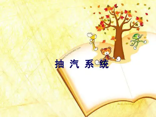 抽汽系统