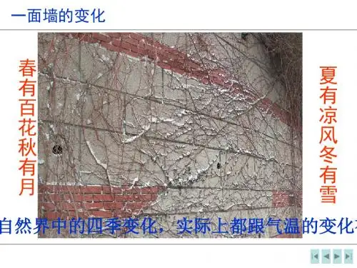 气温的变化与分布(新人教版) (2)