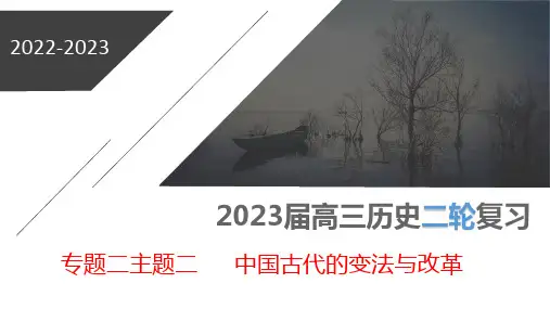 专题二主题二       中国古代的变法与改革