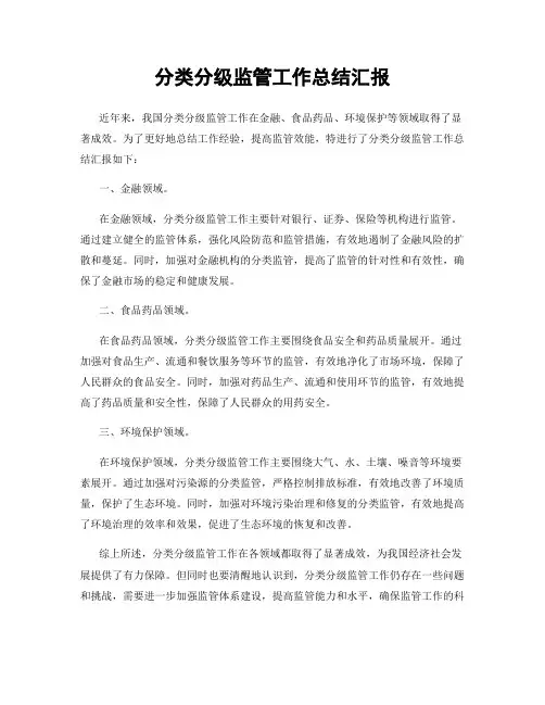 分类分级监管工作总结汇报