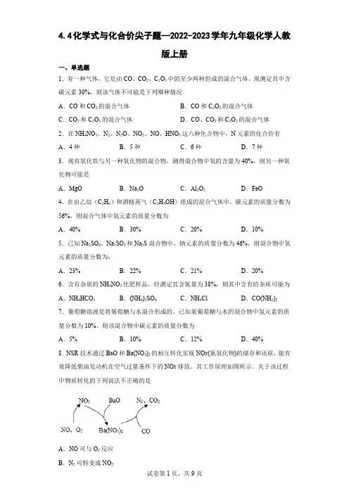 化学式与化合价尖子题—2022-2023学年九年级化学人教版上册