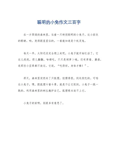 聪明的小免作文三百字