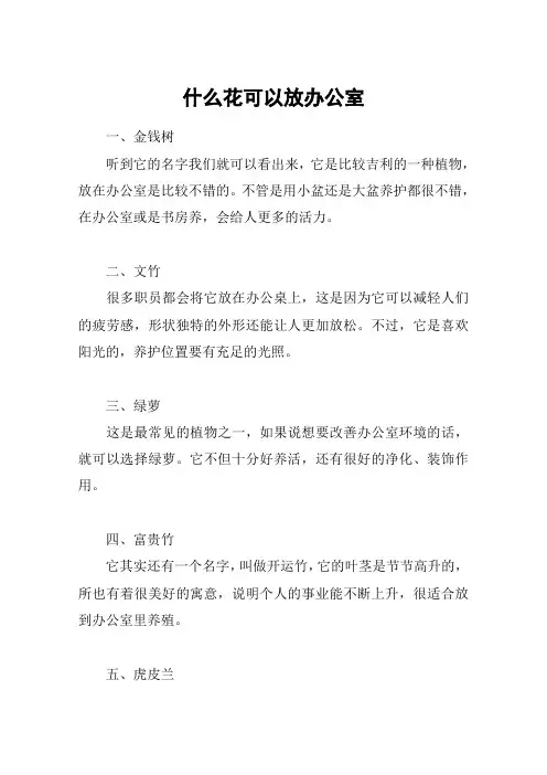 什么花可以放办公室