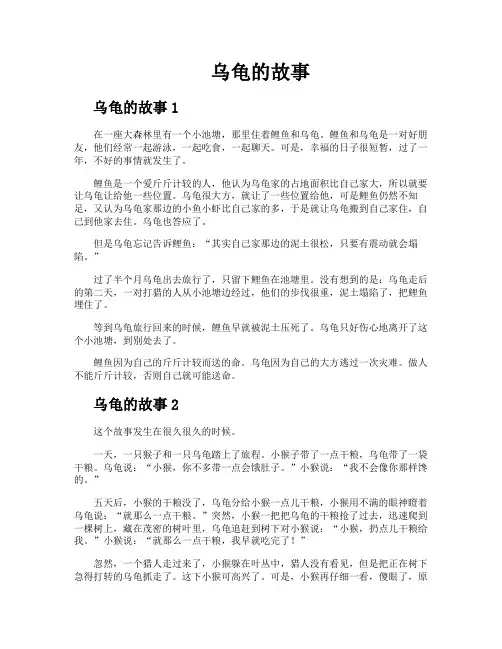 乌龟的故事