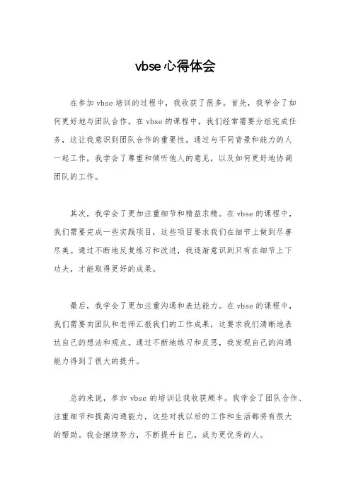 vbse心得体会