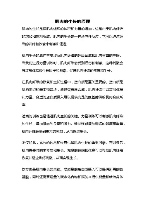 肌肉的生长的原理