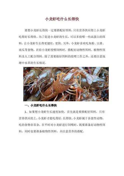 小龙虾吃什么长得快