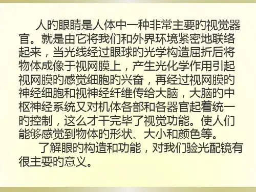 眼球的结构和功能