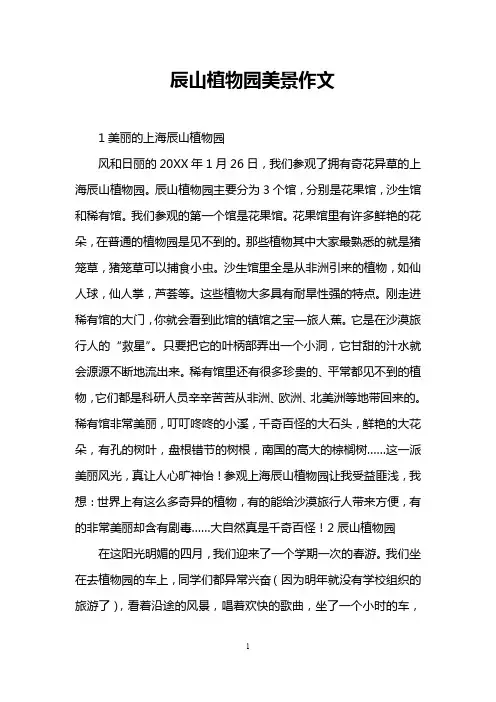 辰山植物园美景作文