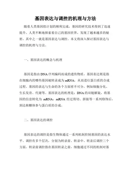 基因表达与调控的机理与方法