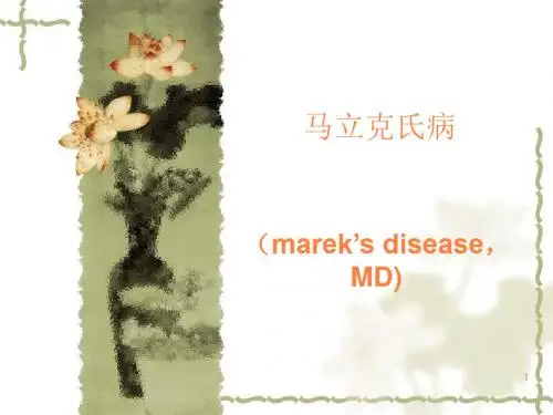 马立克氏病ppt课件