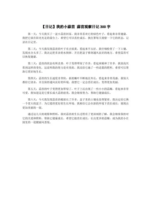 【日记】我的小蒜苗 蒜苗观察日记300字