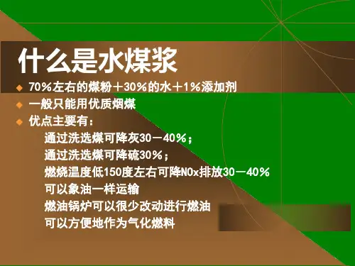燃烧理论与设备ranshao12水煤浆一种清洁煤技术PowerPoint演示文稿