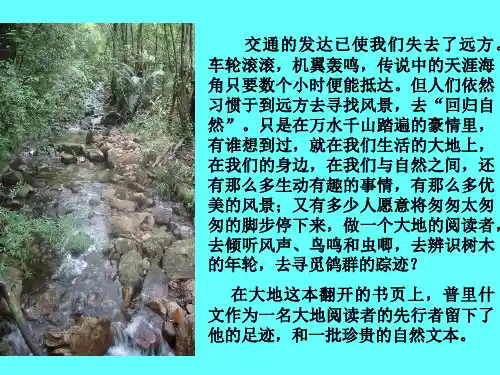 《林中小溪》QQ版PPT课件