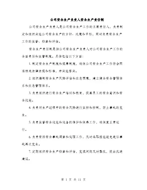 公司安全生产负责人安全生产责任制（4篇）