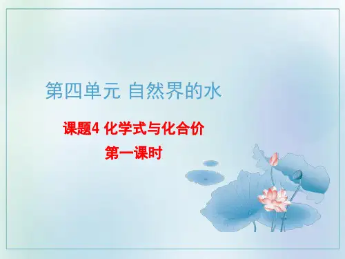 化学式与化合价(PPT)ppt-九年级化学人教版上册_