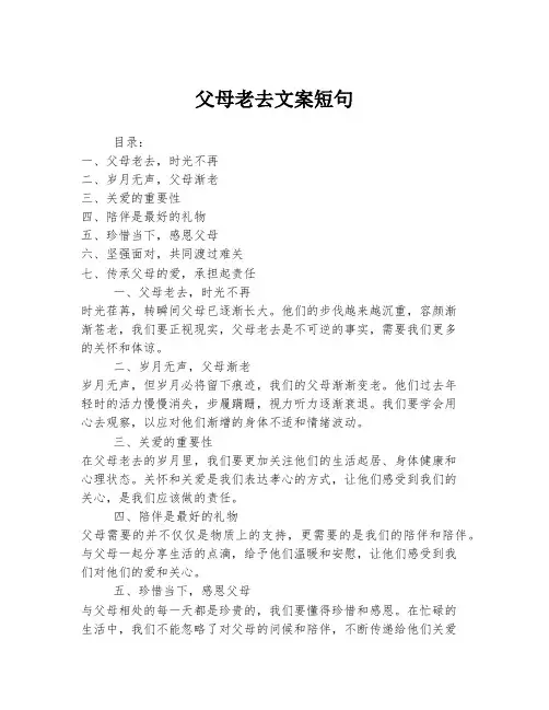 父母老去文案短句