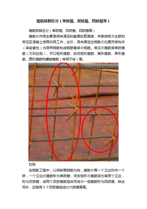 箍筋肢数区分（单肢箍、双肢箍、四肢箍等）