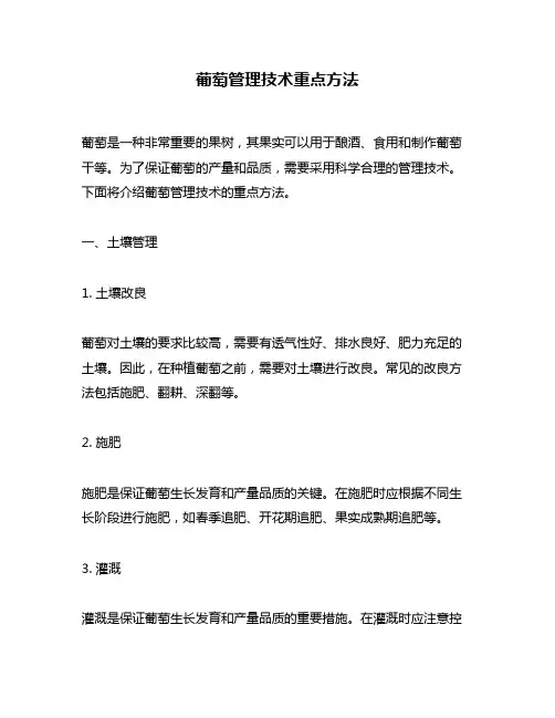 葡萄管理技术重点方法