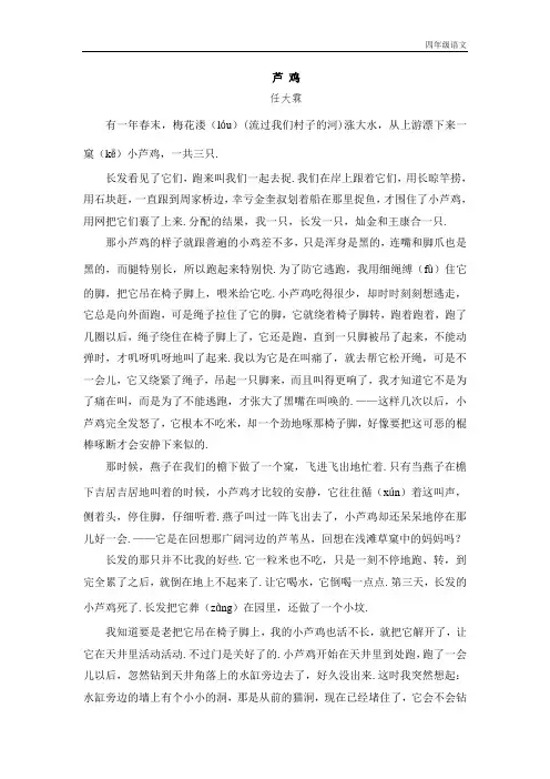 新人教部编版四年级语文上册(延伸阅读)芦鸡