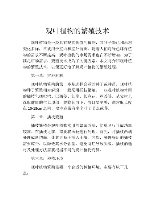 观叶植物的繁殖技术