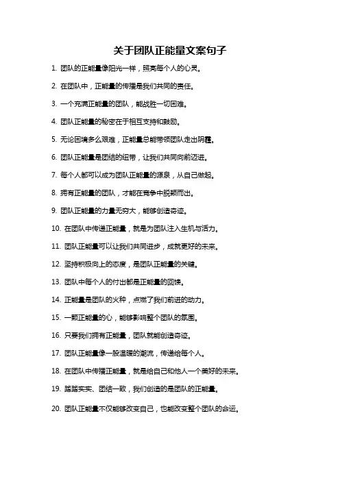 关于团队正能量文案句子