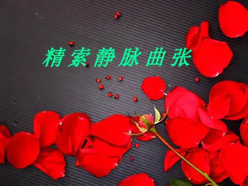 精索静脉曲张课件