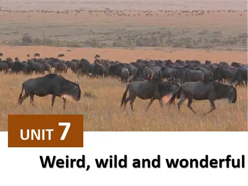 新视野大学英语第三版视听说教程BOOK2-UNIT7-Weird, wild and wonderful