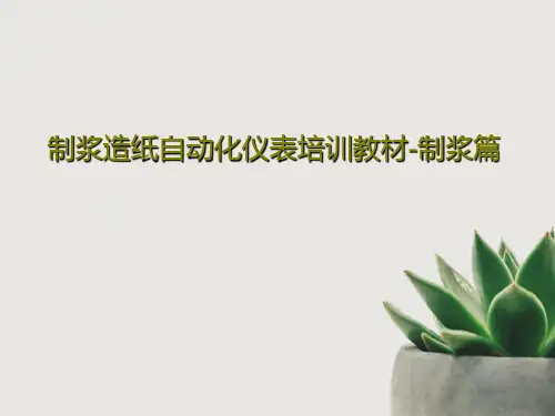 制浆造纸自动化仪表培训教材-制浆篇PPT文档28页