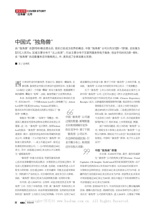 中国式“独角兽”