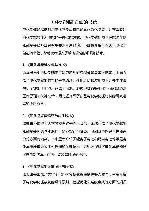 电化学储能方面的书籍