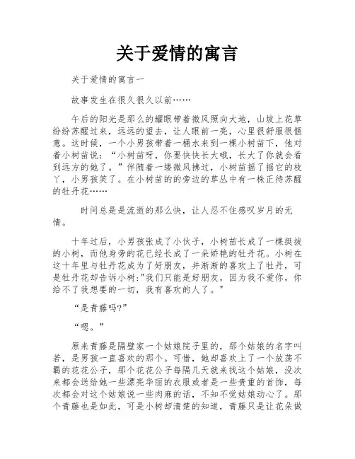 关于爱情的寓言