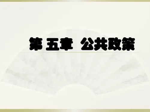 公共管理学-第5章 公共政策
