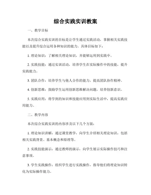 综合实践实训教案