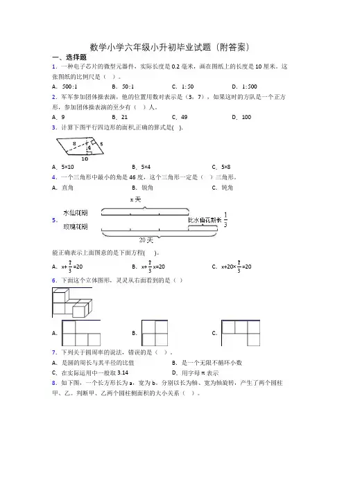 数学小学六年级小升初毕业试题(附答案)