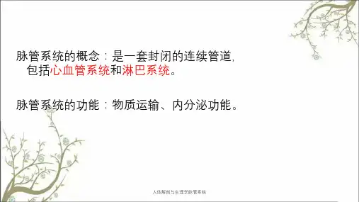 人体解剖与生理学脉管系统
