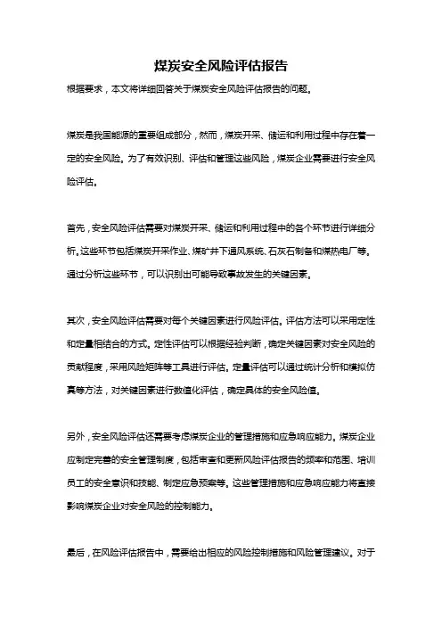 煤炭安全风险评估报告