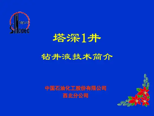 塔深1井钻井液技术