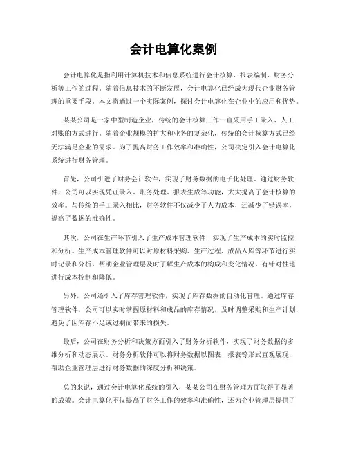 会计电算化案例
