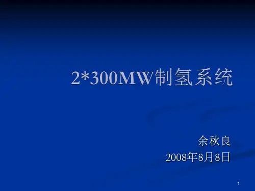 300MW制氢系统讲解ppt课件