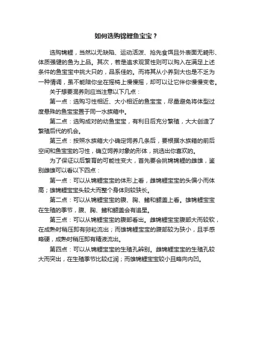 如何选购锦鲤鱼宝宝？