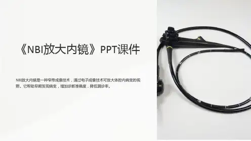 《NBI放大内镜》课件