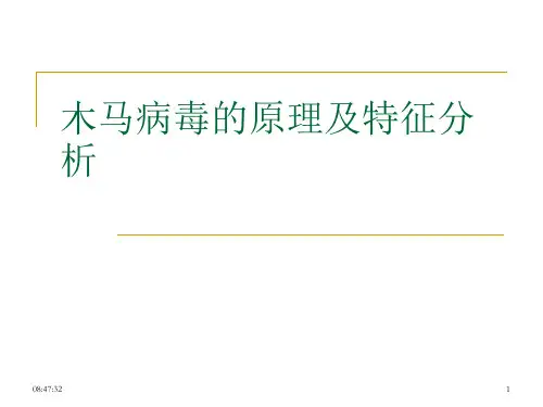木马病毒原理及特征分析PPT演示课件