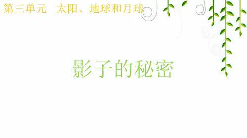 教科版科学三年级下册3影子的秘密课件