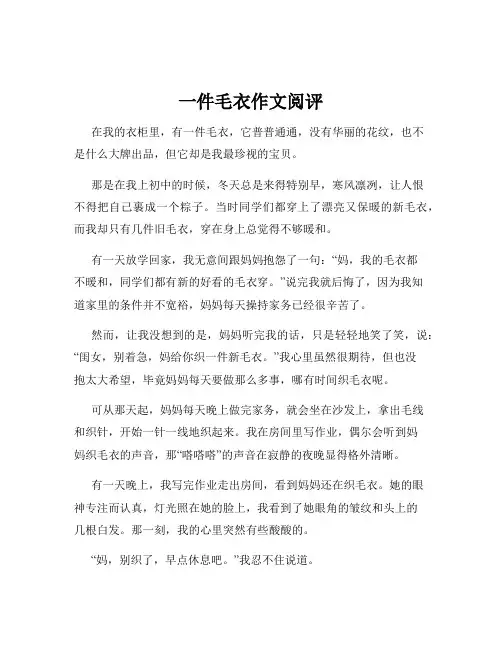 一件毛衣作文阅评
