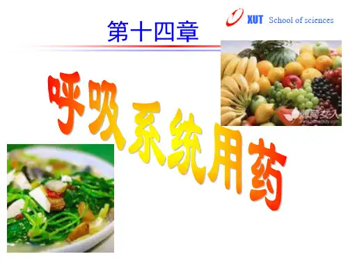 呼吸系统用药PPT课件